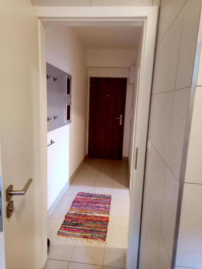 Apartmany Za Sneznikem Долні-Морава Екстер'єр фото