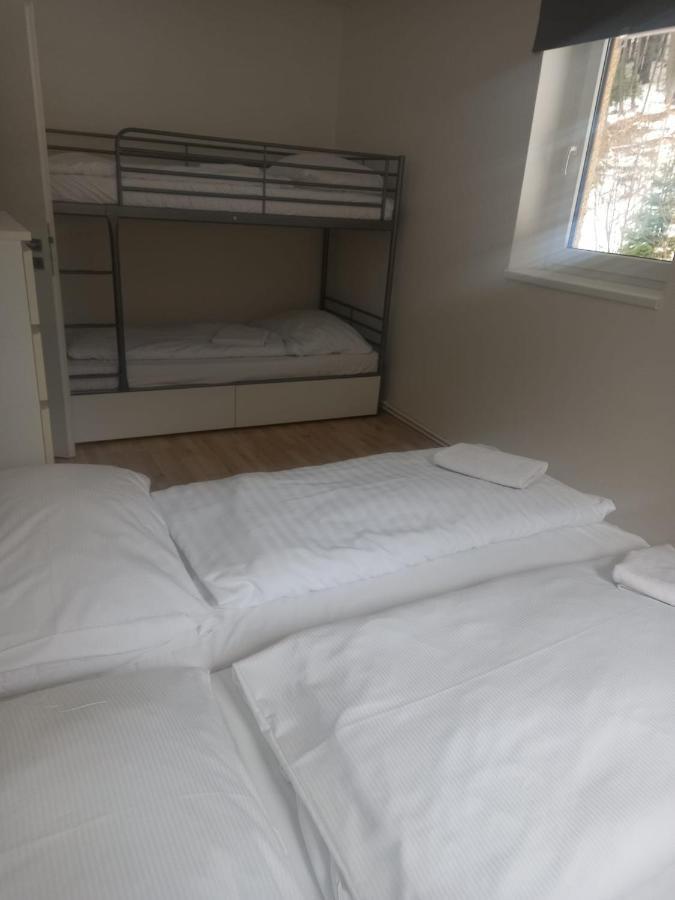 Apartmany Za Sneznikem Долні-Морава Екстер'єр фото