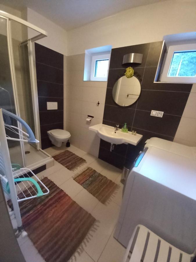 Apartmany Za Sneznikem Долні-Морава Екстер'єр фото